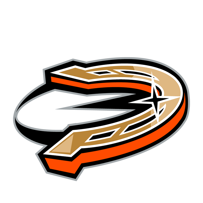Anaheim Ducks Entertainment logo fabric transfer